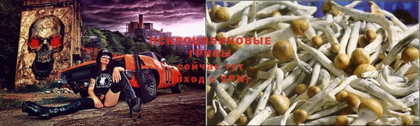 амф Богородицк