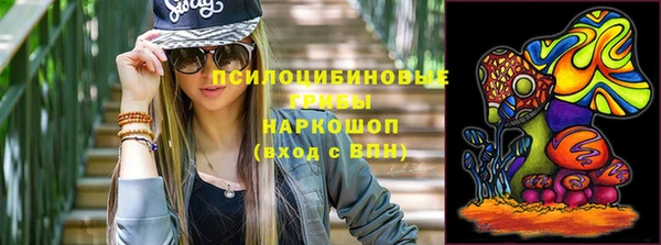 ПСИЛОЦИБИНОВЫЕ ГРИБЫ Богородск
