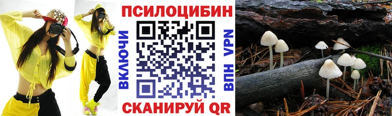 Псилоцибиновые грибы GOLDEN TEACHER  купить   Кологрив 